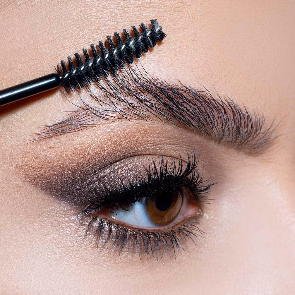 Lash lift tint Dubai Elaris